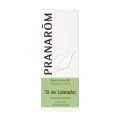 TÉ DE LABRADOR 5 ML ACEITES NATURALES