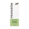 CANELA DE CEILAN (CORTEZA)BIO 5 ML ACEITES ESENCIALES