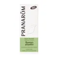 ROMERO ALCANFOR BIO 10 ML ACEITES ESENCIALES