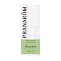 ALCARAVEA - SEMILLA 10 ML ACEITES ESENCIALES