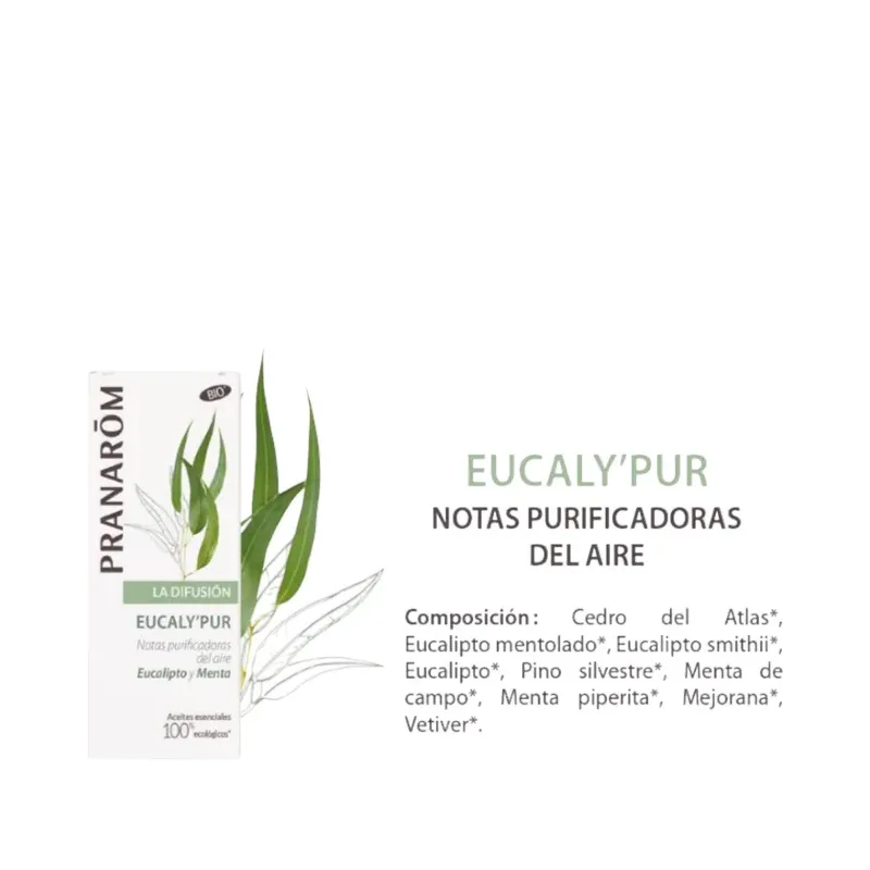 EUCALYPUR 30ML MEZCLA DIFUSION NOTAS PURIFICADORAS DE AIRE