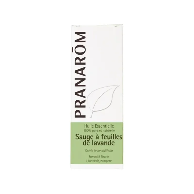 SALVIA DE HOJAS DE LAVANDA  BIO