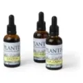 EXTRACTO COLA DE CABALLO PLANTIS 50