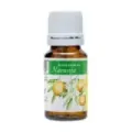 ACEITE ESENCIAL NARANJA PLANTIS 10