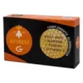 APIREGI-G JALEA REAL + GINSENG + TA