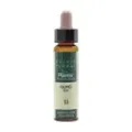 OLMO-11 ELIXIR FLORAL ECO PLANTIS 1