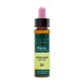 GENCIANA-12 ELIXIR FLORAL ECO PLANT
