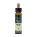 VERBENA-31 ELIXIR FLORAL ECO PLANTI