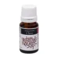 ACEITE ESENCIAL CLAVO PLANTIS 10 ML