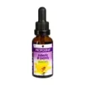 PROPOLINA EXTRACTO DE PROPOLIS SIN