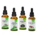 EXTRACTO DE PASIFLORA ECO S/ALC PLA