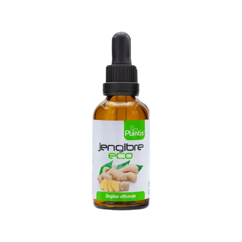 EXTR JENGIBRE ECO PLANTIS 50ML