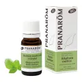 ALBAHACA EXOTICA PARTES AEREAS BIO (ECO) 10 ML