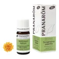 SIEMPREVIVA AMARILLA SUMIDAD FLORID A BIO 5 ML