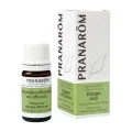 HISOPO REAL SUMIDAD FLORIDA 5 ML (OFFICINALIS)