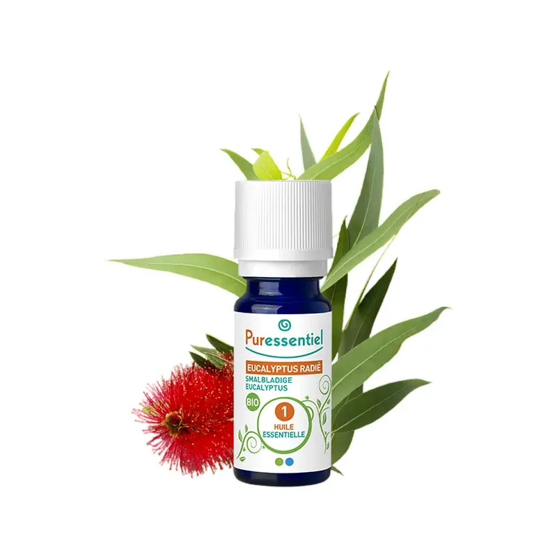 ESEN. EUCALIPTO RADIATA 10ml BIO ACEITE ESENCIAL