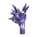 ROLL-ON SOS ANTIESTRES 12 AE 5ml