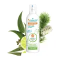 SPRAY AEREO PURIFICANTE 41 AE 500ml