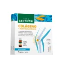 COLAGENO+AC.HIALURONICO VIALES