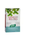 PLANTAS FIT CAPS.GINKGO