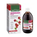 ARANDANO ROJO CONCENTRADO