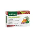 PROSTAPLANT