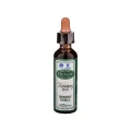 BACH RECOVERY PLUS 20ML