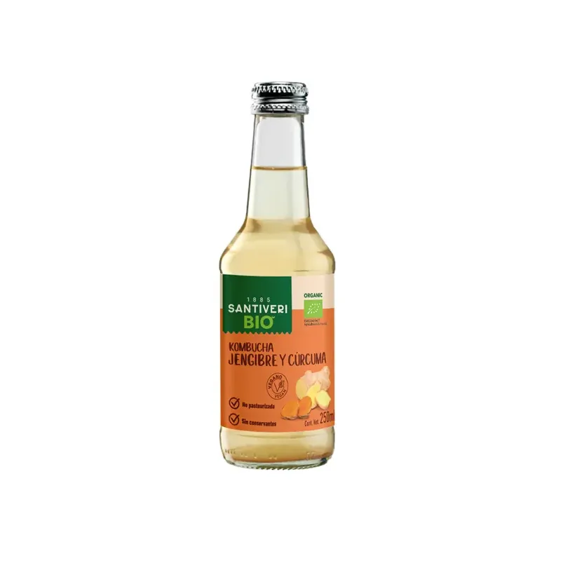 KOMBUCHA CURCUMA BIO 250 ML