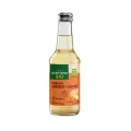 KOMBUCHA CURCUMA BIO 250 ML
