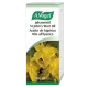 ACEITE DE HIPÉRICO ML  100
