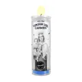 VELON BASICO VIRGEN DEL CARMEN