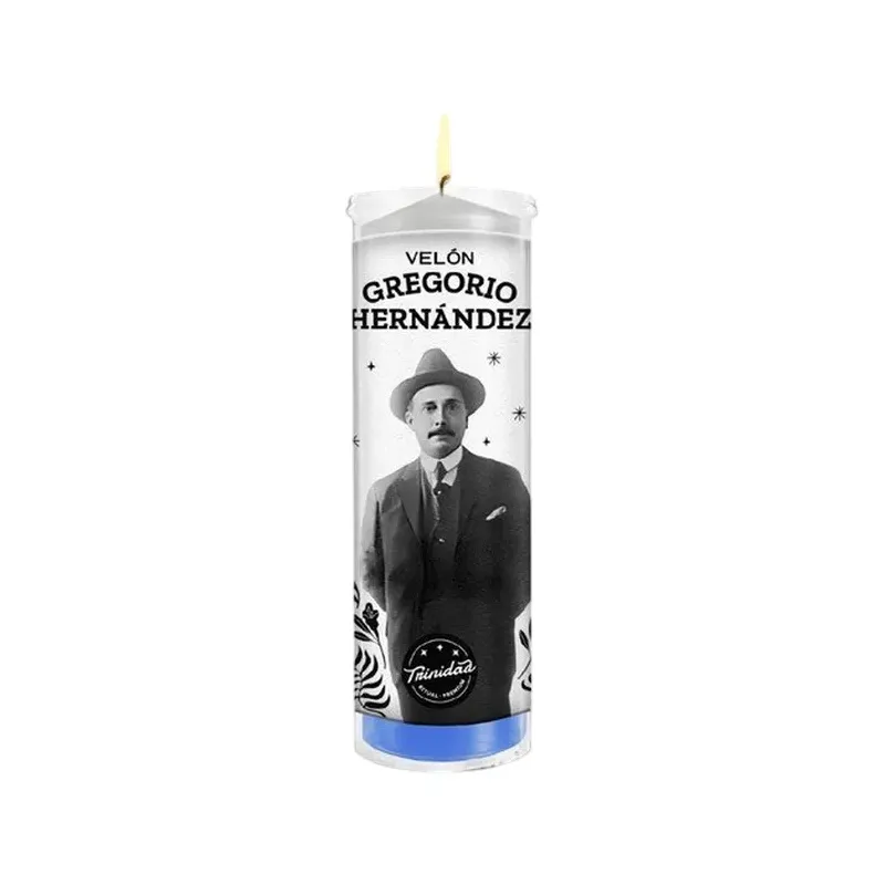 VELON GREGORIO HERNANDEZ BASICO