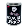 BOX6 ROSA JERICO LATA