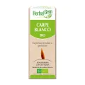 CARPE BLANCO 50ML YEMOUNITARIOS  OFERTA LOTE CADUCIDAD 31/12/26