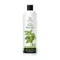 CHAMPU GRASA SIN SULFATOS, 300 ML