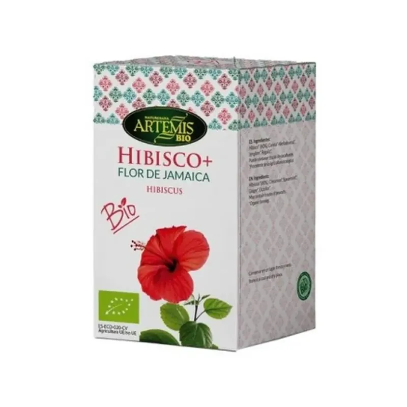 HIBISCO CON ESPECIAS ECO 36G 20FILT