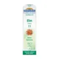 FLORES DE BACH 11 ELM - OLMO FLORES DE BACH BIO GRANULOS 9 grs - UNITARIO
