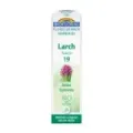 FLORES DE BACH 19 LARCH - ALERCE FLORES DE BACH BIO GRANULOS 9 grs - UNITARIO