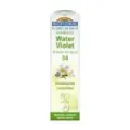 FLORES DE BACH 34 WATER VIOLET - VI FLORES DE BACH BIO GRANULOS 9 grs - UNITARIO