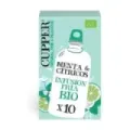 INFUSIÓN FRÍA DE MENTA Y CITRICOS B