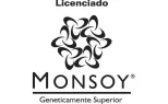 MONSOY